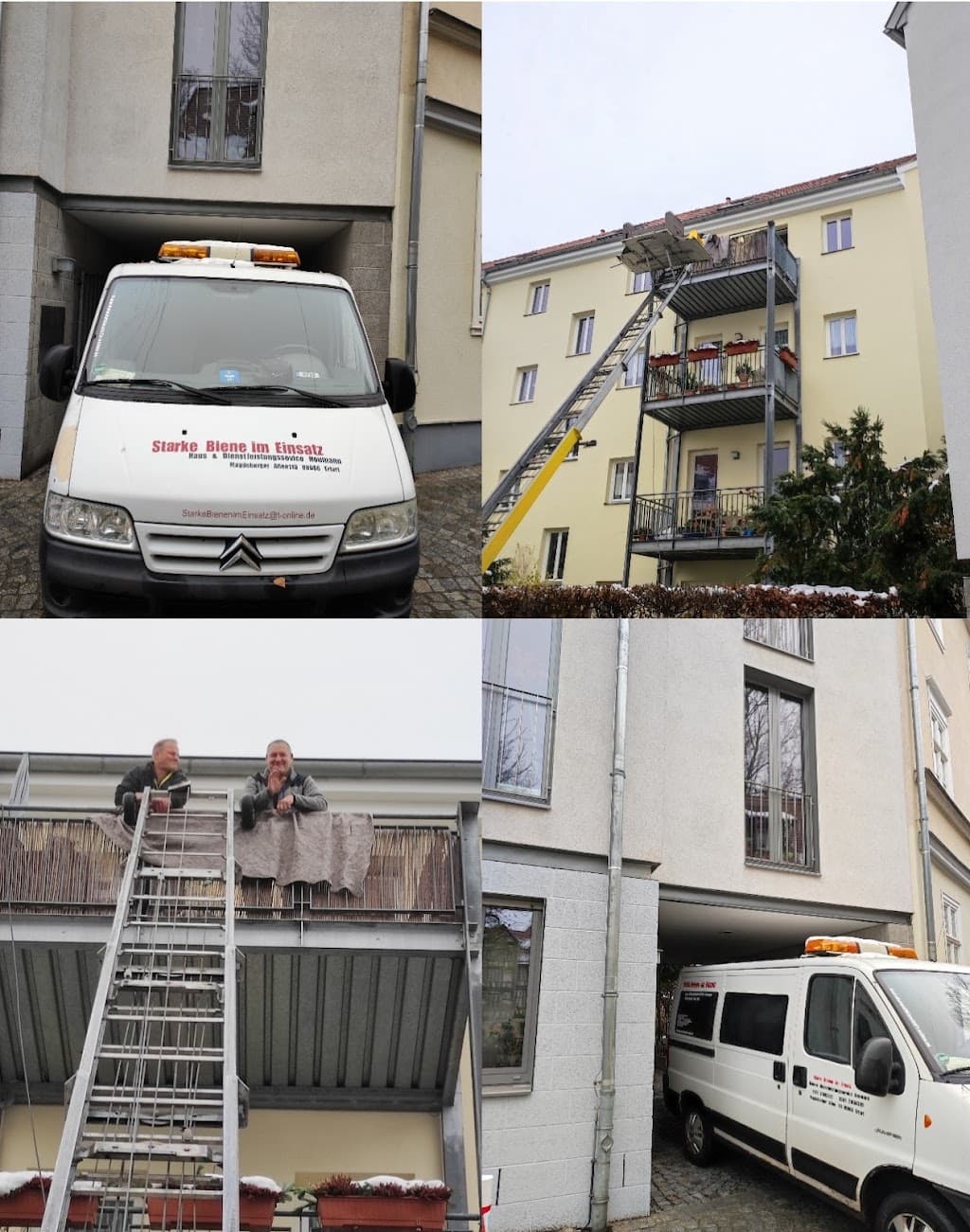 Starke Bienen im Einsatz... Haus- & Dienstleisungsservice Neumann