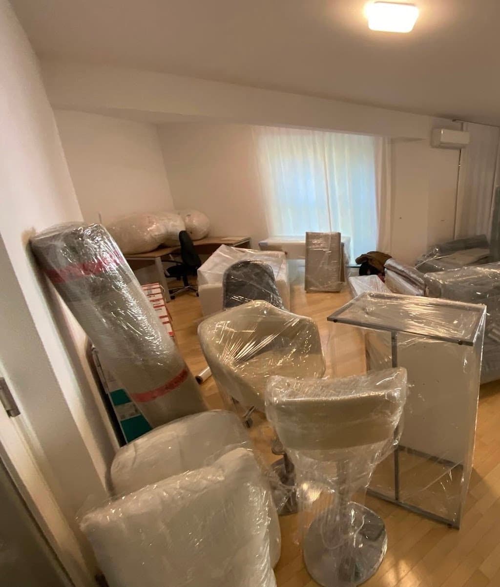 Premium umzug