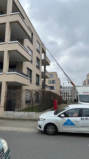 Die Umzugslöwen De Moll — Kundenfoto