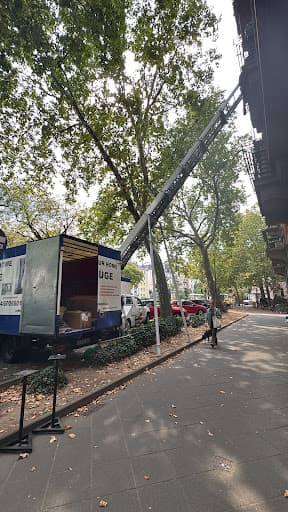 Moveyourhome Umzüge Frankfurt am Main | Ihr Umzugsunternehmen — Kundenfoto